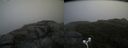 ./images/calvert/buxton2/20170830/buxton220170830_132050M.jpg