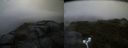 ./images/calvert/buxton2/20170901/buxton220170901_200007M.jpg