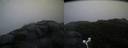 ./images/calvert/buxton2/20170902/buxton220170902_064444M.jpg