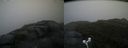 ./images/calvert/buxton2/20170902/buxton220170902_081945M.jpg