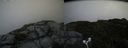 ./images/calvert/buxton2/20170902/buxton220170902_135014M.jpg