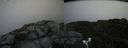 ./images/calvert/buxton2/20170902/buxton220170902_135445M.jpg