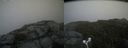 ./images/calvert/buxton2/20170902/buxton220170902_152445M.jpg