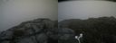 ./images/calvert/buxton2/20170902/buxton220170902_152950M.jpg