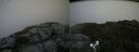 ./images/calvert/buxton2/20170902/buxton220170902_153948M.jpg