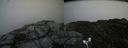 ./images/calvert/buxton2/20170902/buxton220170902_154446M.jpg