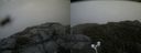 ./images/calvert/buxton2/20170902/buxton220170902_164445M.jpg