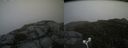 ./images/calvert/buxton2/20170902/buxton220170902_165444M.jpg