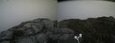 ./images/calvert/buxton2/20170902/buxton220170902_165955M.jpg