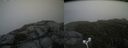 ./images/calvert/buxton2/20170902/buxton220170902_170444M.jpg