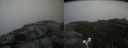 ./images/calvert/buxton2/20170902/buxton220170902_171955M.jpg