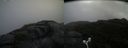 ./images/calvert/buxton2/20170903/buxton220170903_095927M.jpg