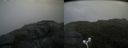 ./images/calvert/buxton2/20170903/buxton220170903_105424M.jpg