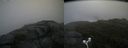 ./images/calvert/buxton2/20170903/buxton220170903_120424M.jpg