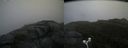 ./images/calvert/buxton2/20170903/buxton220170903_121003M.jpg