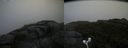 ./images/calvert/buxton2/20170903/buxton220170903_121424M.jpg