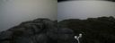 ./images/calvert/buxton2/20170903/buxton220170903_131930M.jpg
