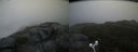 ./images/calvert/buxton2/20170907/buxton220170907_073803M.jpg