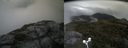 ./images/calvert/buxton2/20170907/buxton220170907_100304M.jpg