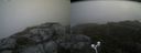 ./images/calvert/buxton2/20170907/buxton220170907_102804M.jpg