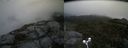 ./images/calvert/buxton2/20170907/buxton220170907_110812M.jpg