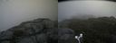 ./images/calvert/buxton2/20170907/buxton220170907_113303M.jpg