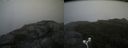 ./images/calvert/buxton2/20170907/buxton220170907_145842M.jpg