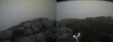 ./images/calvert/buxton2/20170907/buxton220170907_165835M.jpg