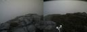 ./images/calvert/buxton2/20170907/buxton220170907_184304M.jpg