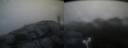 ./images/calvert/buxton2/20170908/buxton220170908_064243M.jpg