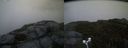 ./images/calvert/buxton2/20170909/buxton220170909_193226M.jpg