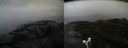 ./images/calvert/buxton2/20170910/buxton220170910_174202M.jpg