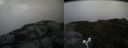 ./images/calvert/buxton2/20170911/buxton220170911_124647M.jpg