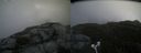 ./images/calvert/buxton2/20170911/buxton220170911_131639M.jpg