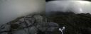 ./images/calvert/buxton2/20170911/buxton220170911_133645M.jpg