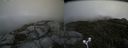 ./images/calvert/buxton2/20170911/buxton220170911_150647M.jpg