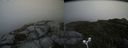 ./images/calvert/buxton2/20170911/buxton220170911_153142M.jpg