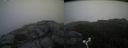./images/calvert/buxton2/20170912/buxton220170912_104117M.jpg
