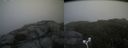 ./images/calvert/buxton2/20170912/buxton220170912_112154M.jpg
