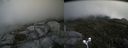 ./images/calvert/buxton2/20170912/buxton220170912_135116M.jpg
