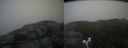 ./images/calvert/buxton2/20170912/buxton220170912_160116M.jpg