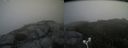 ./images/calvert/buxton2/20170916/buxton220170916_124004M.jpg