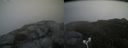 ./images/calvert/buxton2/20170916/buxton220170916_125003M.jpg