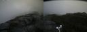 ./images/calvert/buxton2/20170917/buxton220170917_100448M.jpg