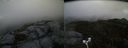 ./images/calvert/buxton2/20170918/buxton220170918_184923M.jpg