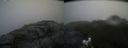 ./images/calvert/buxton2/20170923/buxton220170923_173422M.jpg