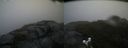 ./images/calvert/buxton2/20170923/buxton220170923_175422M.jpg