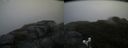 ./images/calvert/buxton2/20170923/buxton220170923_182422M.jpg