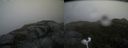 ./images/calvert/buxton2/20170924/buxton220170924_084902M.jpg