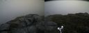 ./images/calvert/buxton2/20170924/buxton220170924_092402M.jpg